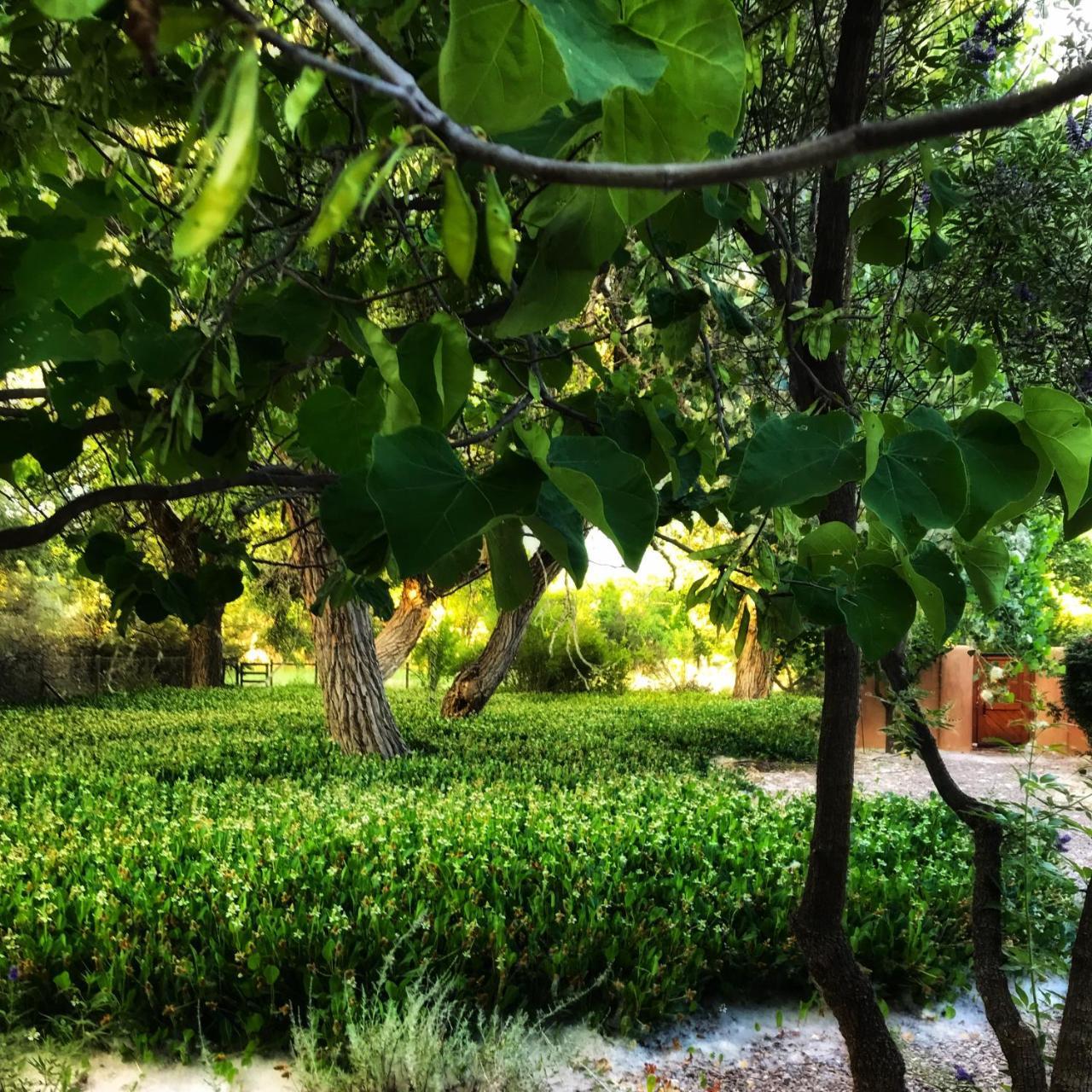 Morning Star Bed & Breakfast Of Corrales ภายนอก รูปภาพ